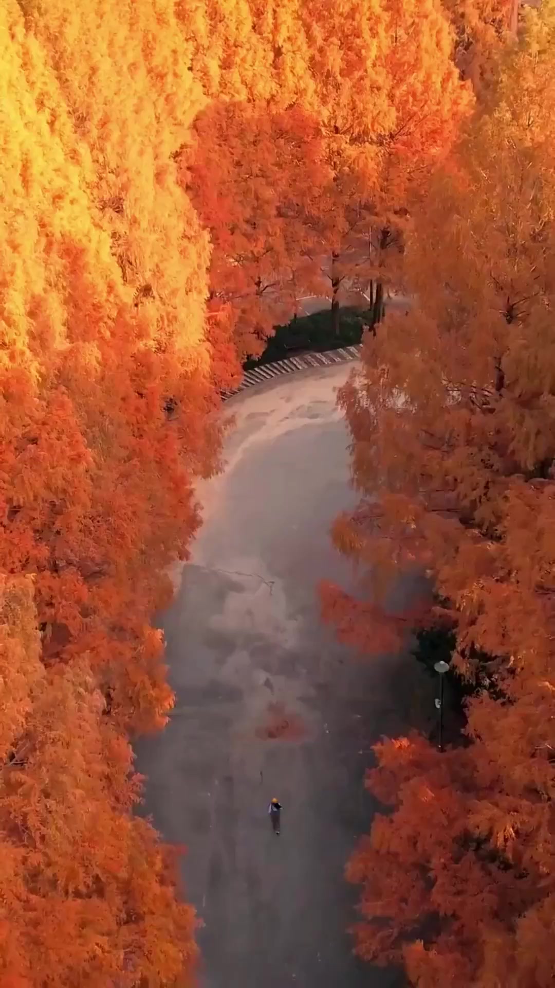 端午旅行,被你艾特的人这个秋天要陪你穿情侣卫衣 陪你喝奶茶