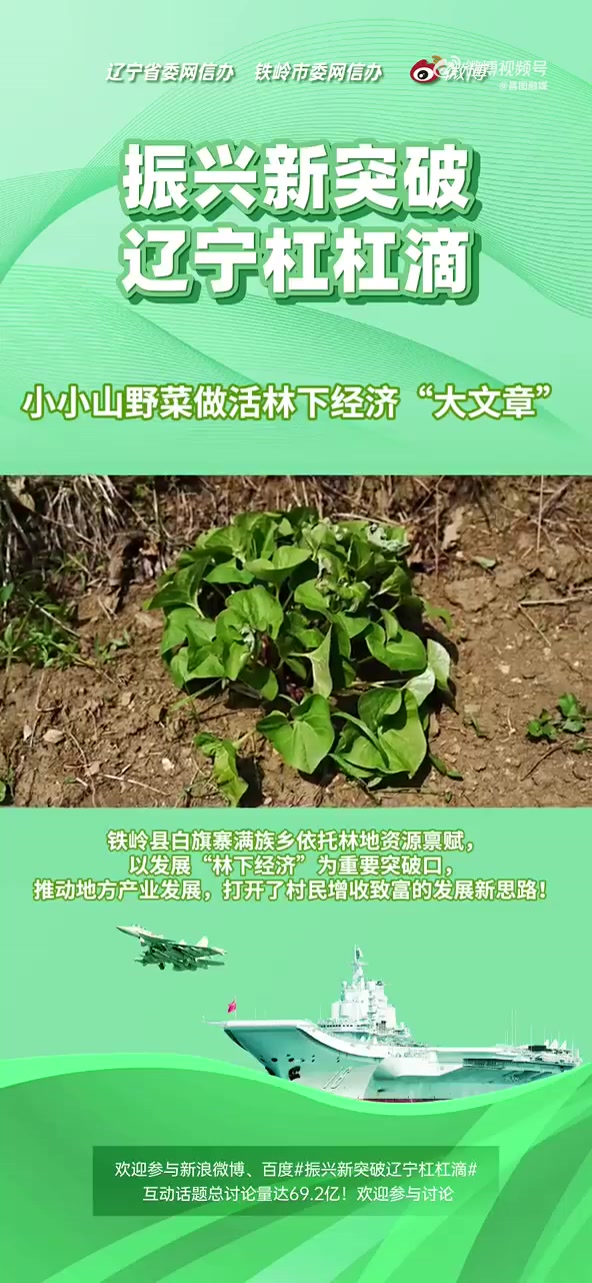 小小山野菜
