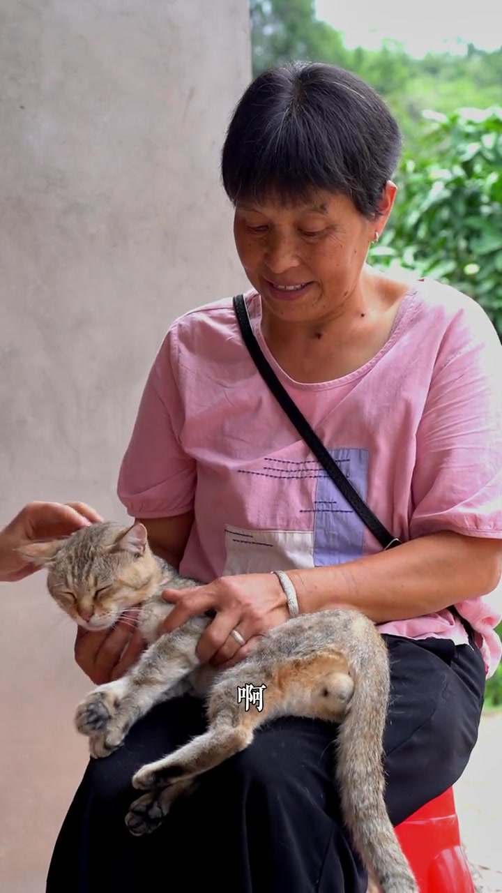 今天榨菜籽油的阿姨,养了只叫王小萌的猫,太可爱了