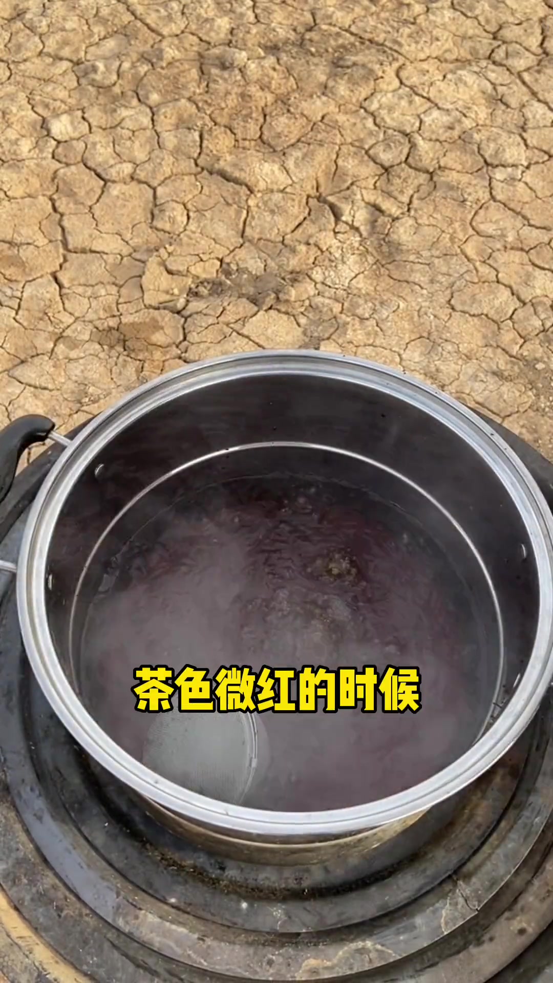 古代一头羊才能换到一块茶?蒙古咸奶茶是草原文化的重要符号,也是牧民必不可少的美食