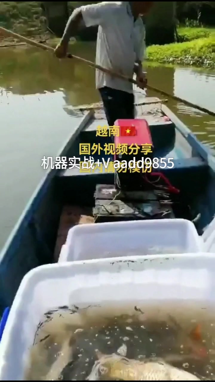 深水大功率水库用的捕超声波逆变机器头打鱼的视频电吸鱼最牛效果