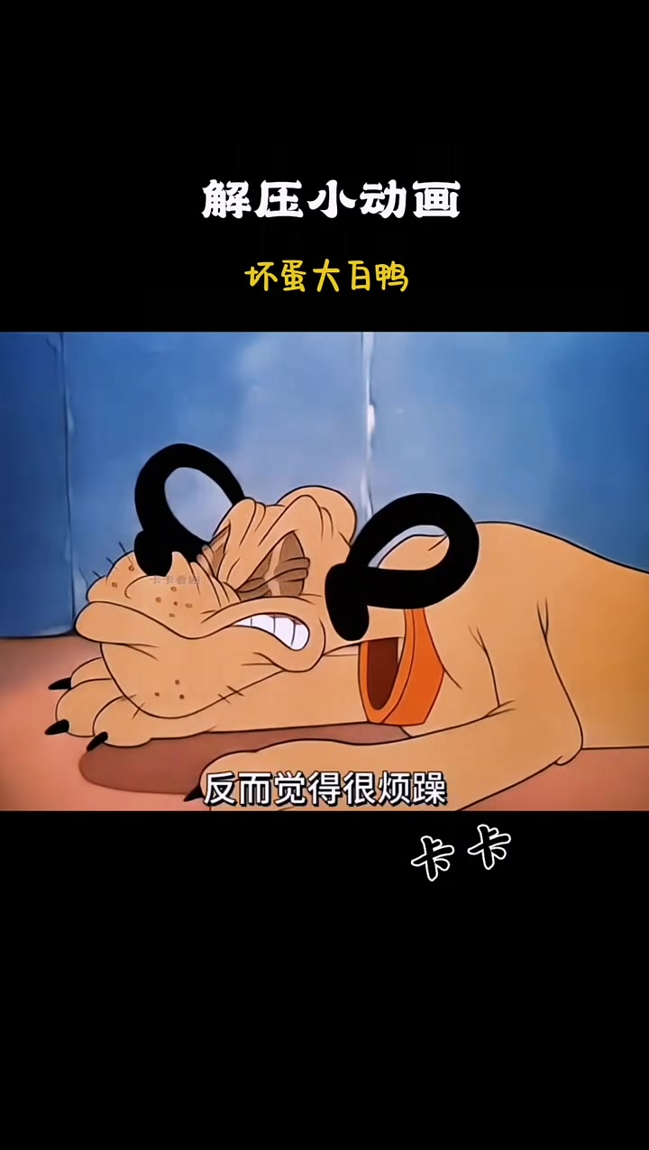 这是一只老六大白鸭