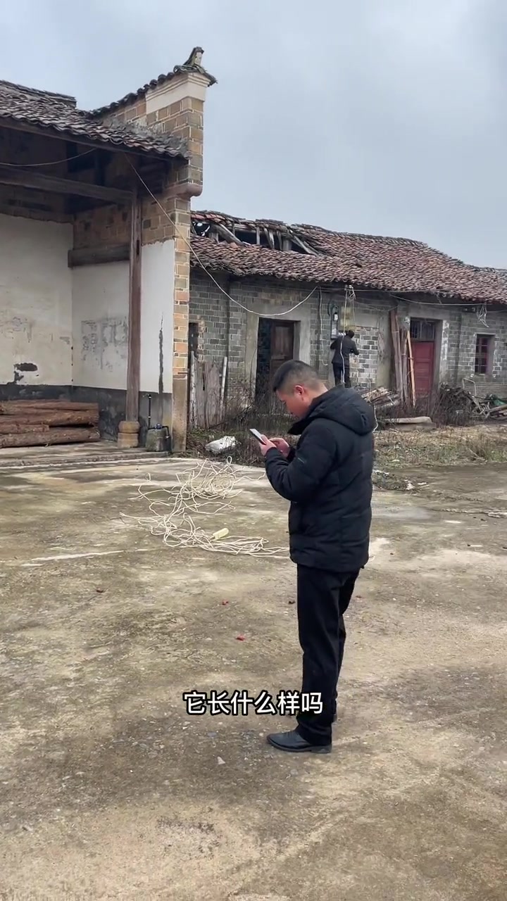 明朝时期就存在的鱼塘,里面的鱼到底长什么样