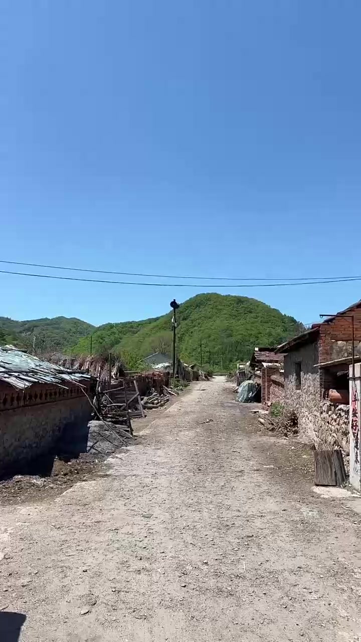农村大笨鹅蛋,还是我们农村好啊