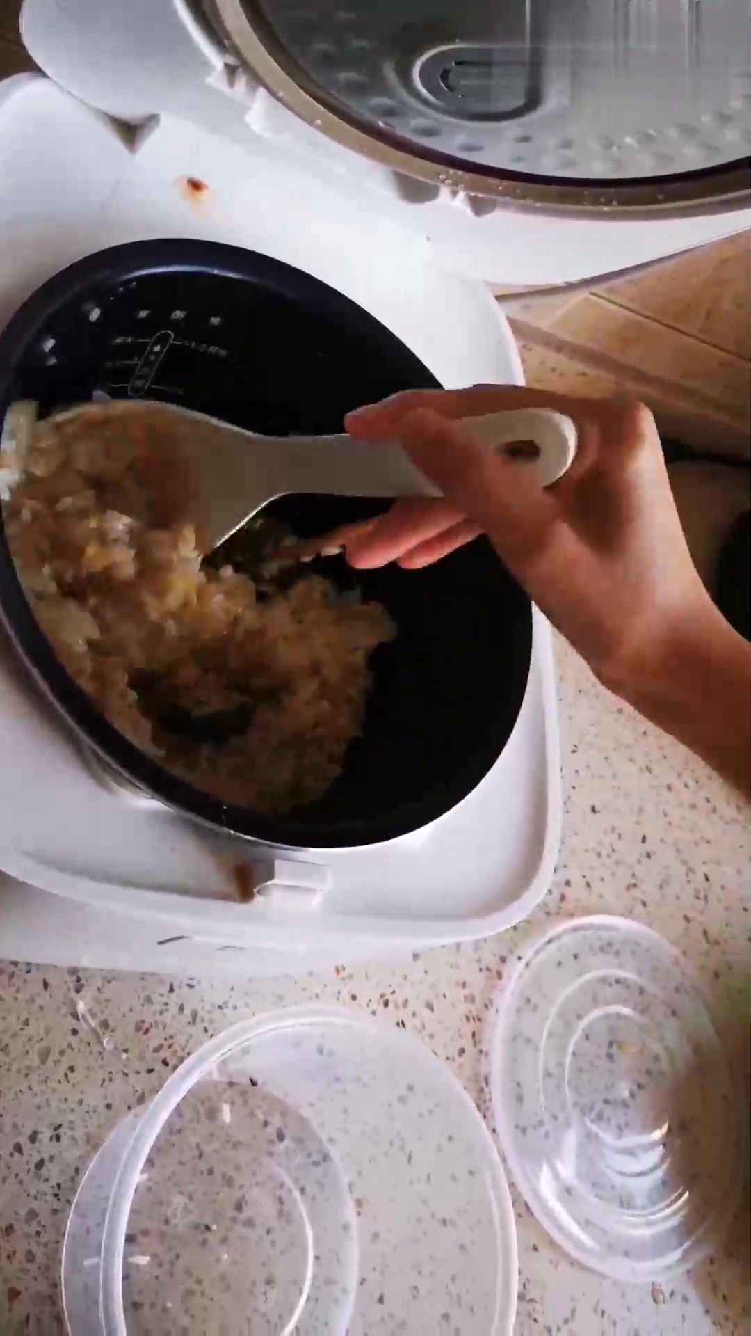 云养第十六天:小马犬不在了,小母狗明显也无精打采了