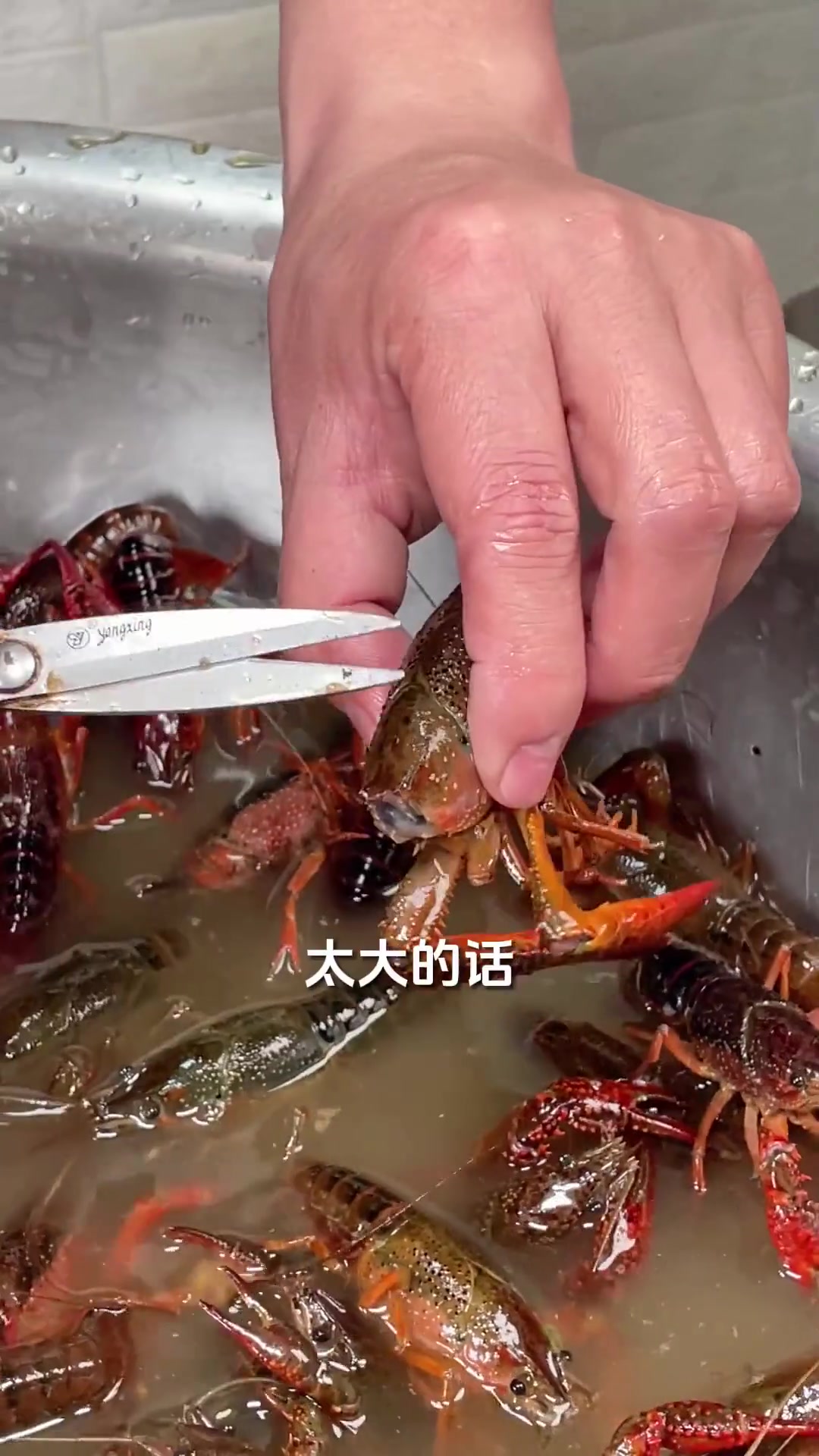 鲜活小龙虾处理加工,三种剪杀方式分享