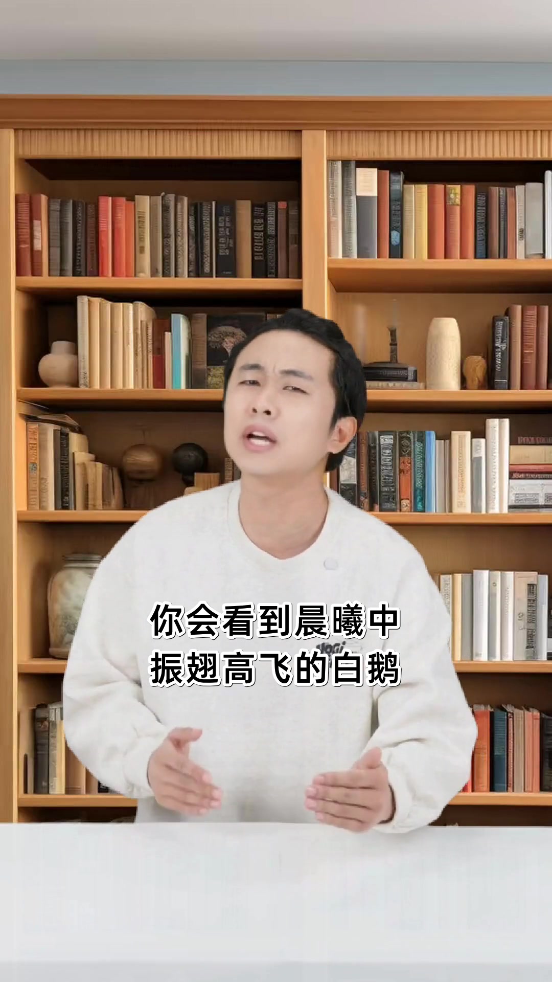 尼尔斯骑鹅旅行记精美插图赏析