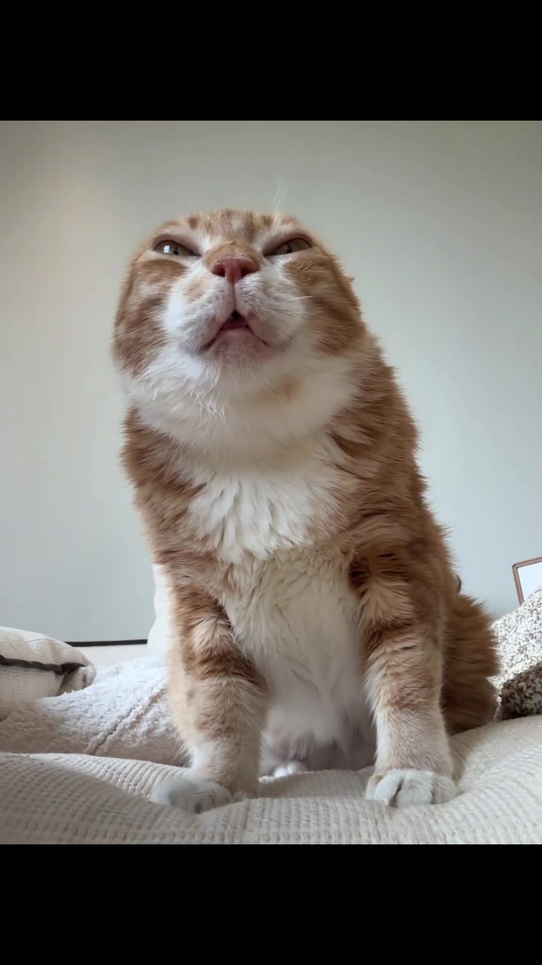 最新情侣头像合集,浪漫风格一网打尽