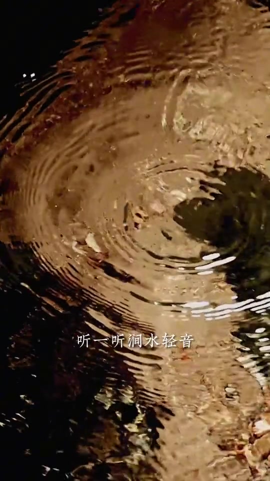 坑涧主坑涧肉桂,尽显仙凡古韵!