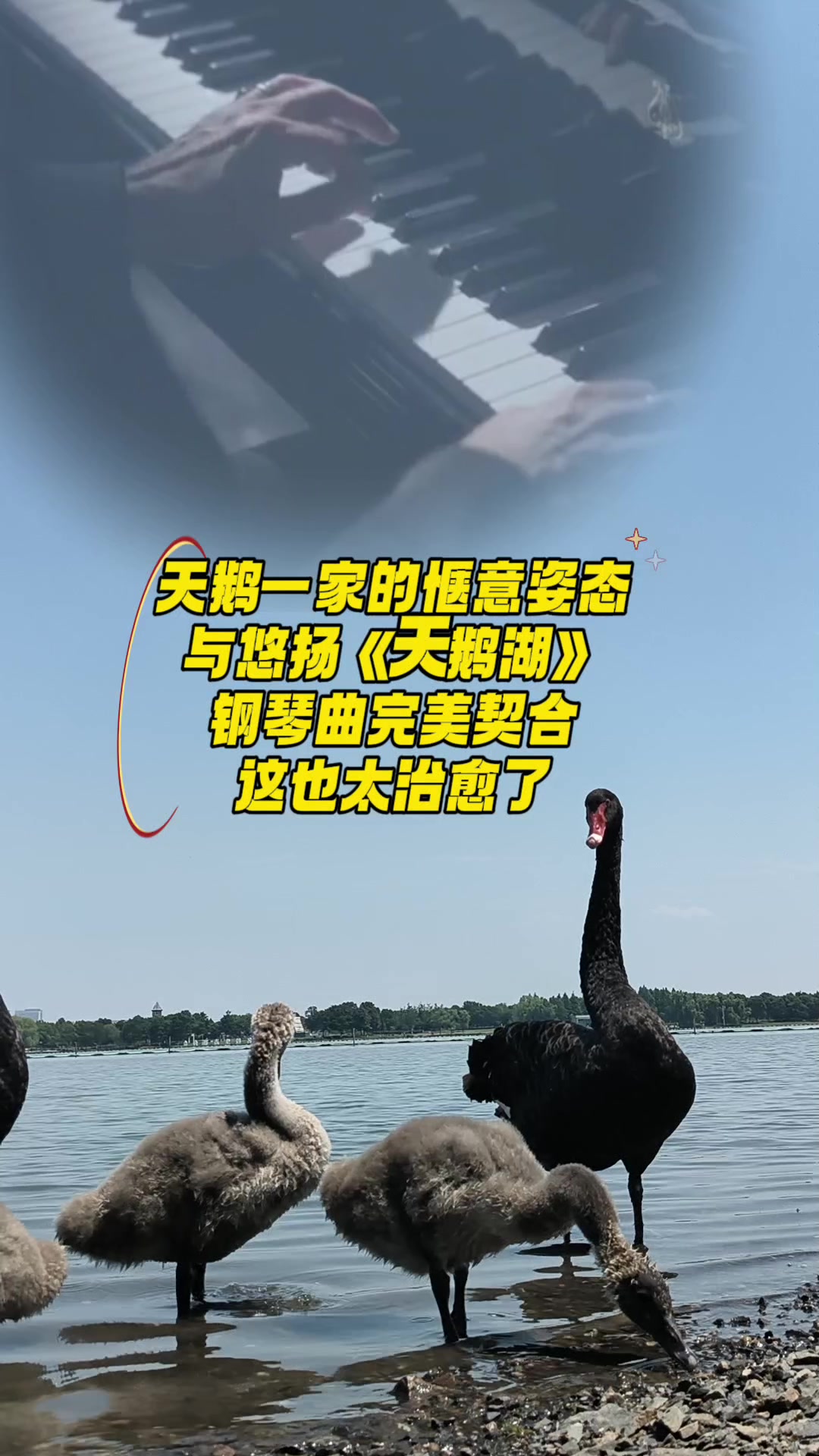 经典天鹅湖曲太美了