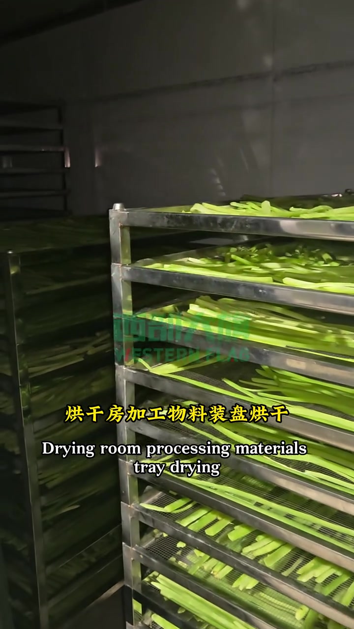 黄花菜、贡菜各类蔬菜烘干设备,不同加工量选择什么设备?黄花菜烘干房 贡菜烘干房 蔬菜烘干房