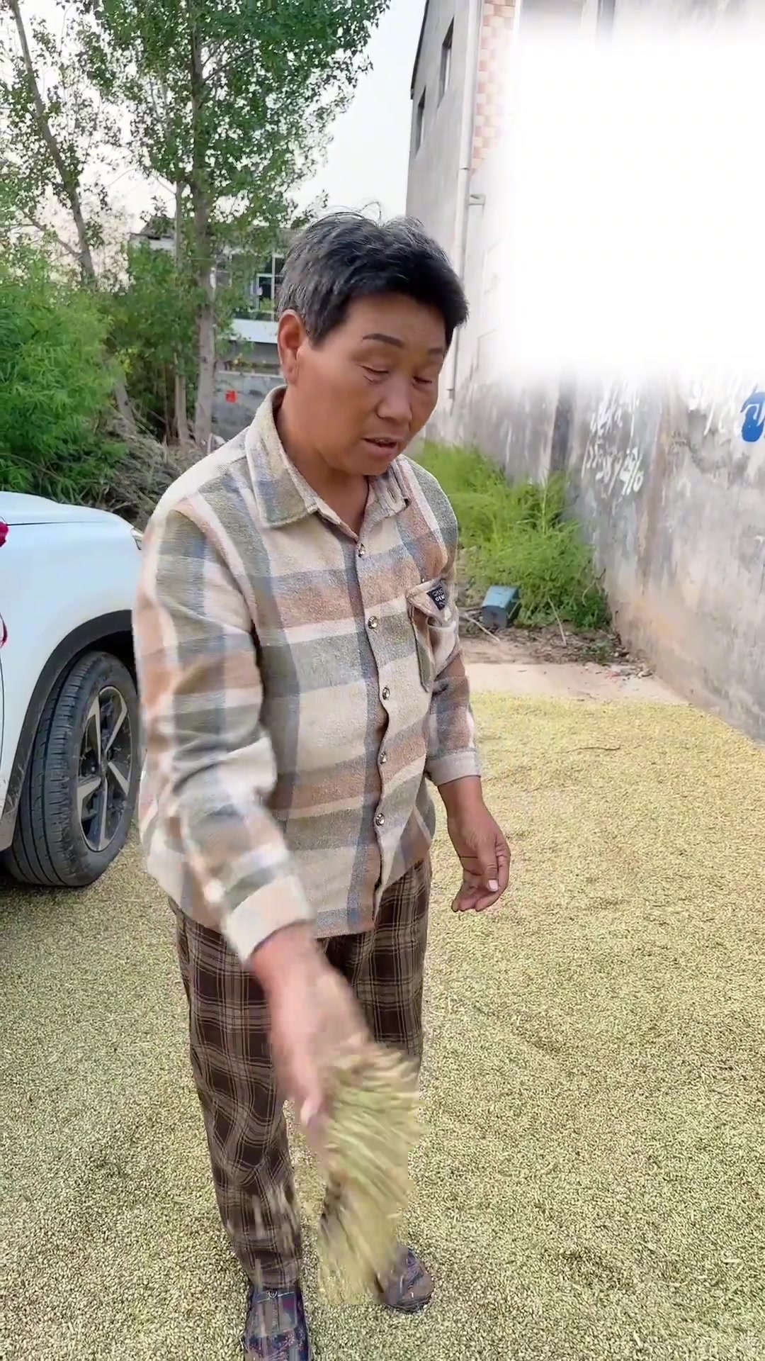 记录真实生活，小块地麦收与玉米种植，思念小汤圆的日常