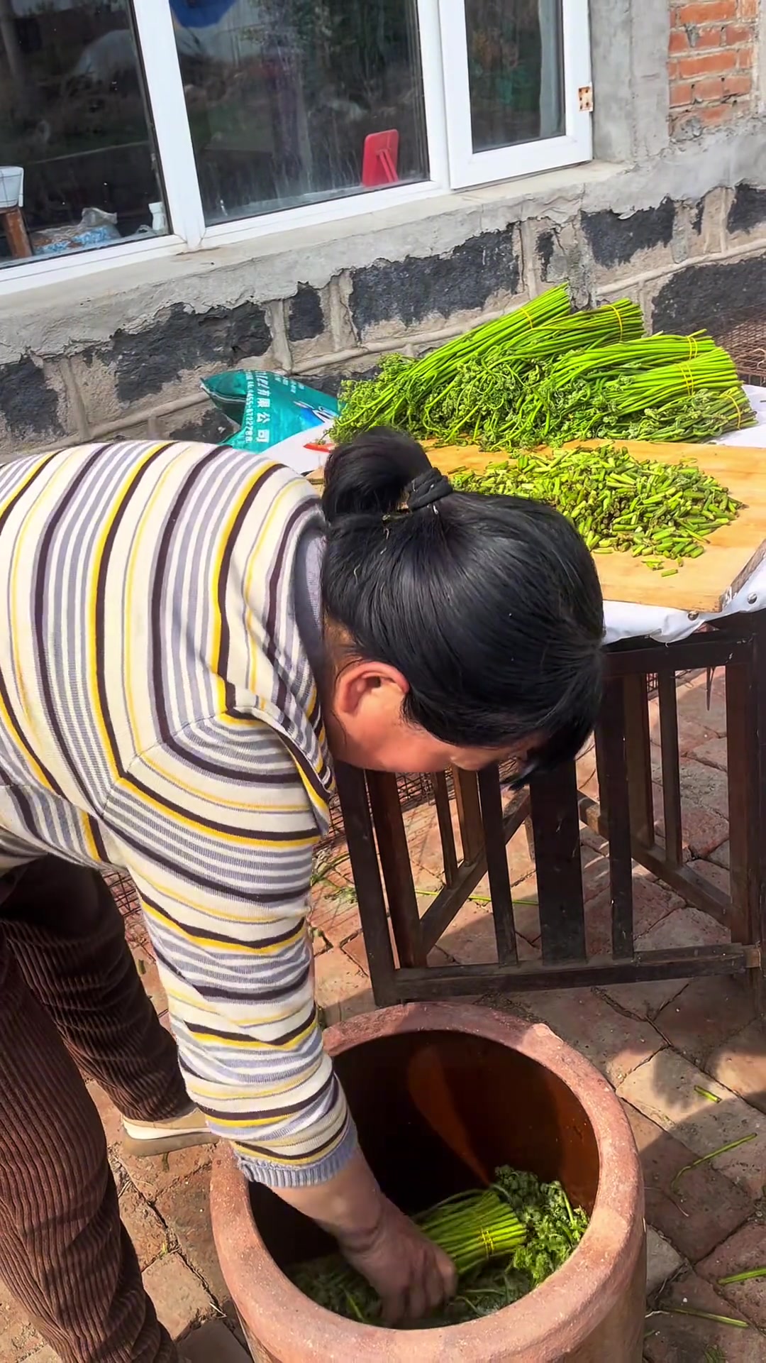 东北5月就开始准备猫冬:腌山野菜