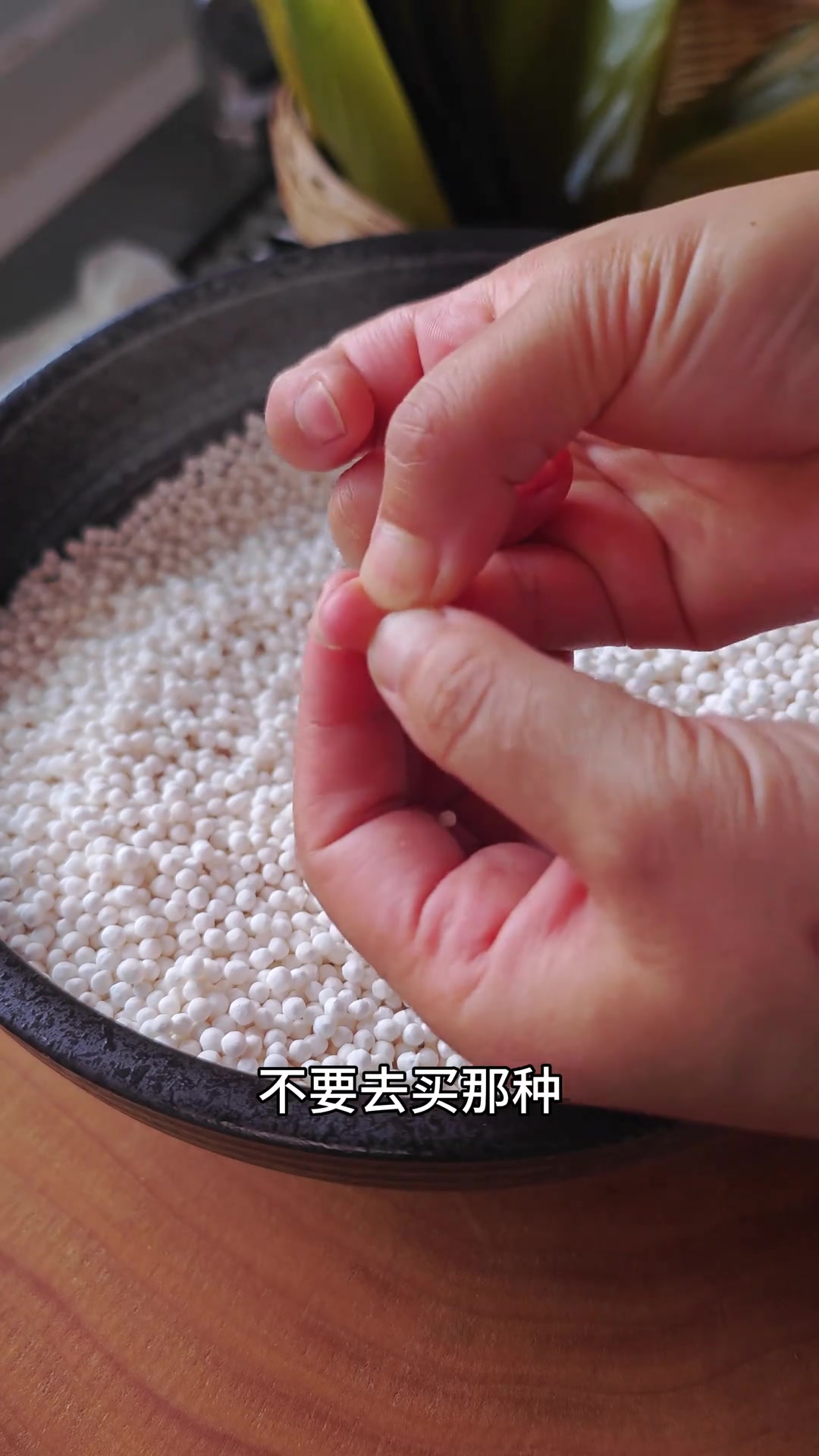 端午节粽子,水晶西米粽软糯Q弹不白心,只需掌握一点粽子你喜欢吃甜的还是咸的