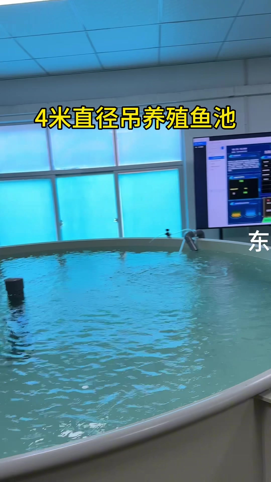 室内循环水高密度养殖#轻体鱼缸 #养鱼先养水 #高密度养殖鱼池
