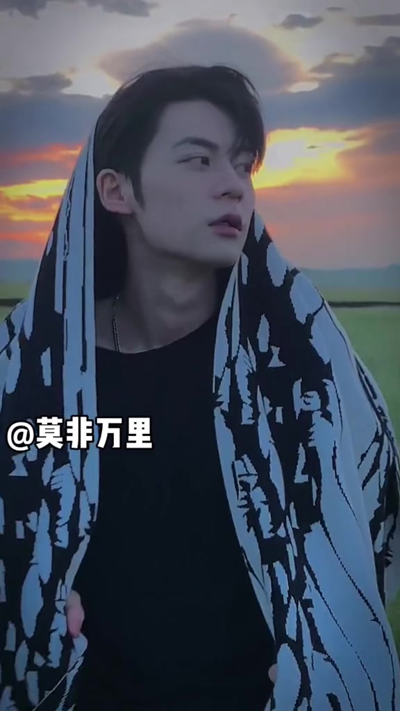 能做你的动态壁纸吗？