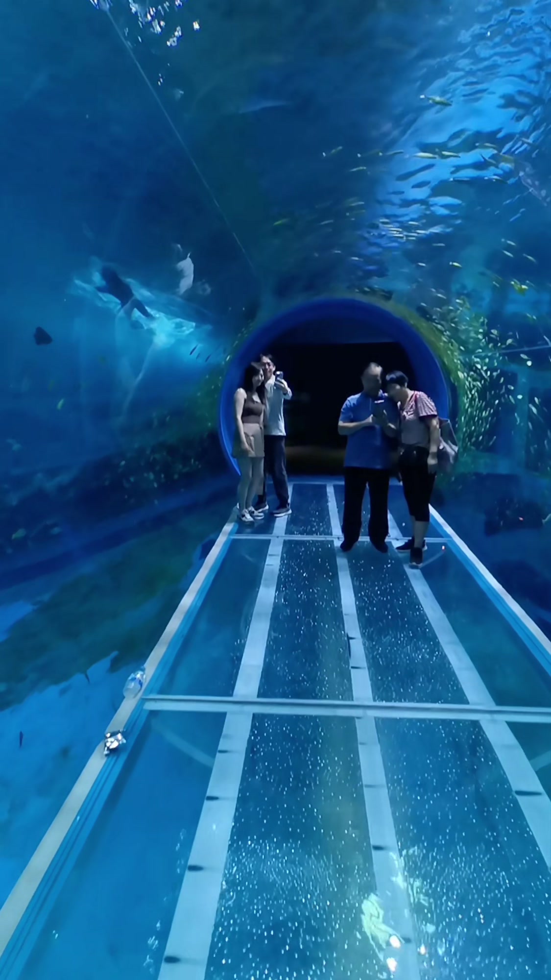 成都喜兔承接水族馆亚克力鱼缸工程
