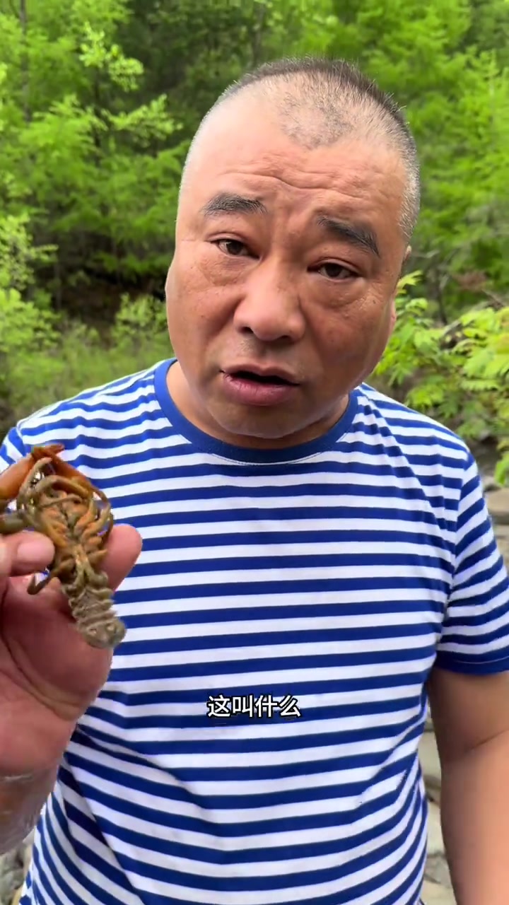 长白山水蝲蛄,也叫东北鳌虾,是虾中的天花板,一吃嘎嘎鲜亮