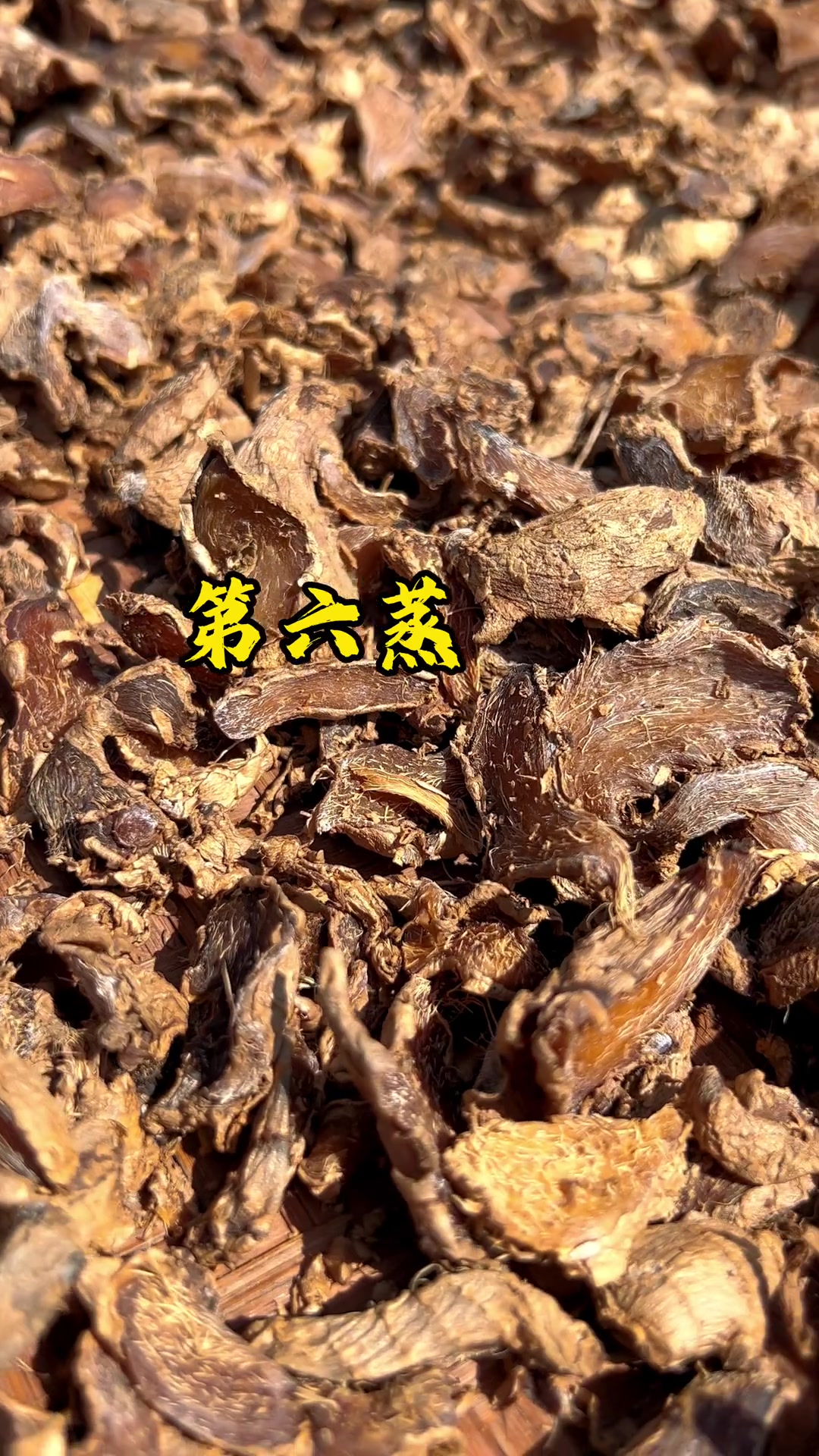 冬吃萝卜夏吃姜,手工制作九蒸九晒的姜粉,三伏天到了千万别错过了!