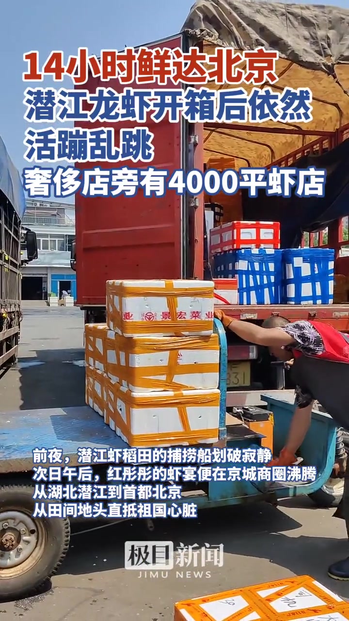 14小时鲜达北京，潜江龙虾开箱后仍活蹦乱跳