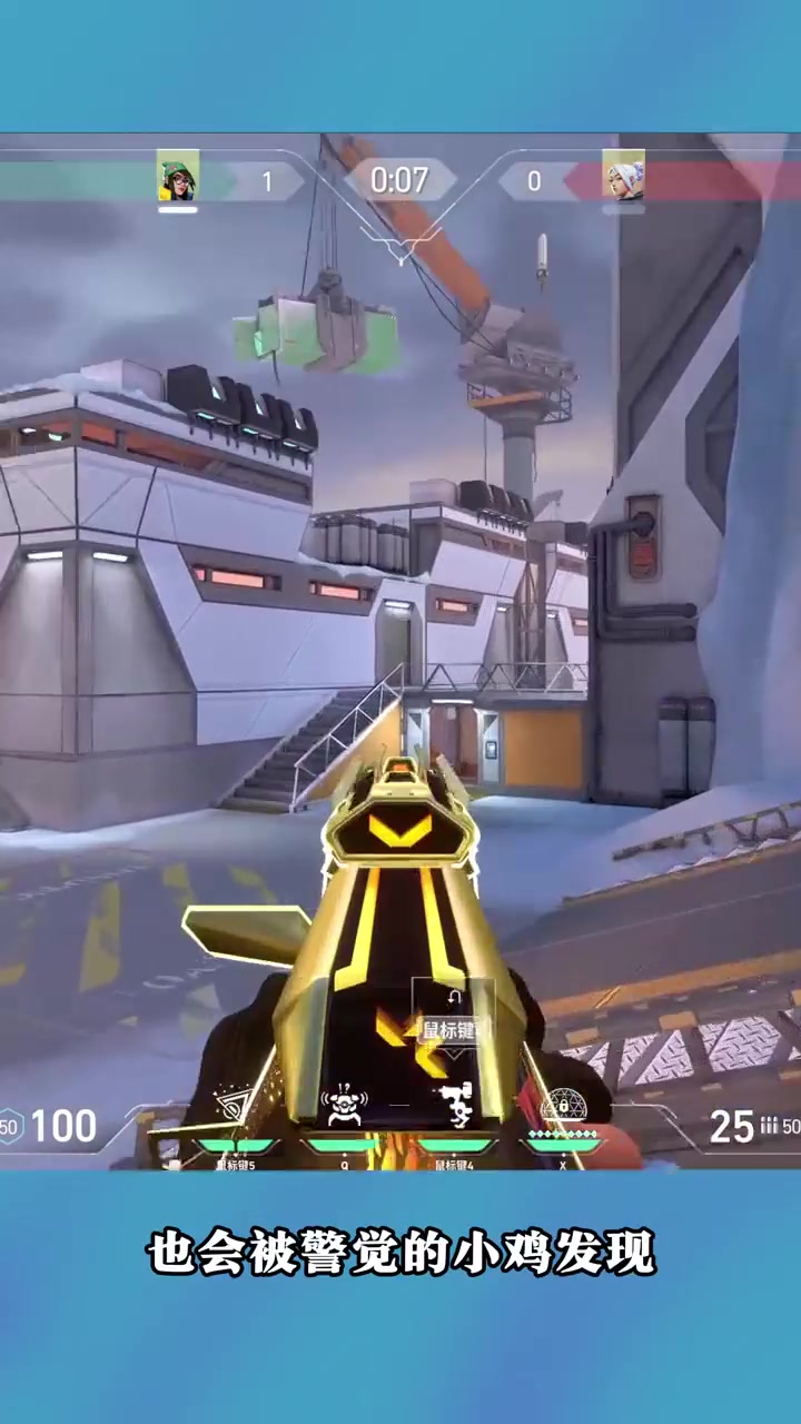 可爱活泼的超广角小鸡！