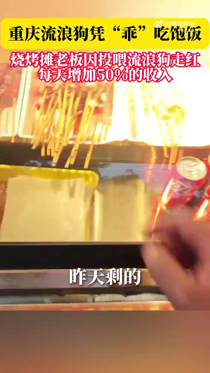 太乖了!重庆流浪狗凭“乖”吃遍小吃摊。烧烤摊老板:“它是给我带来福气的一条狗,想要把它领养
