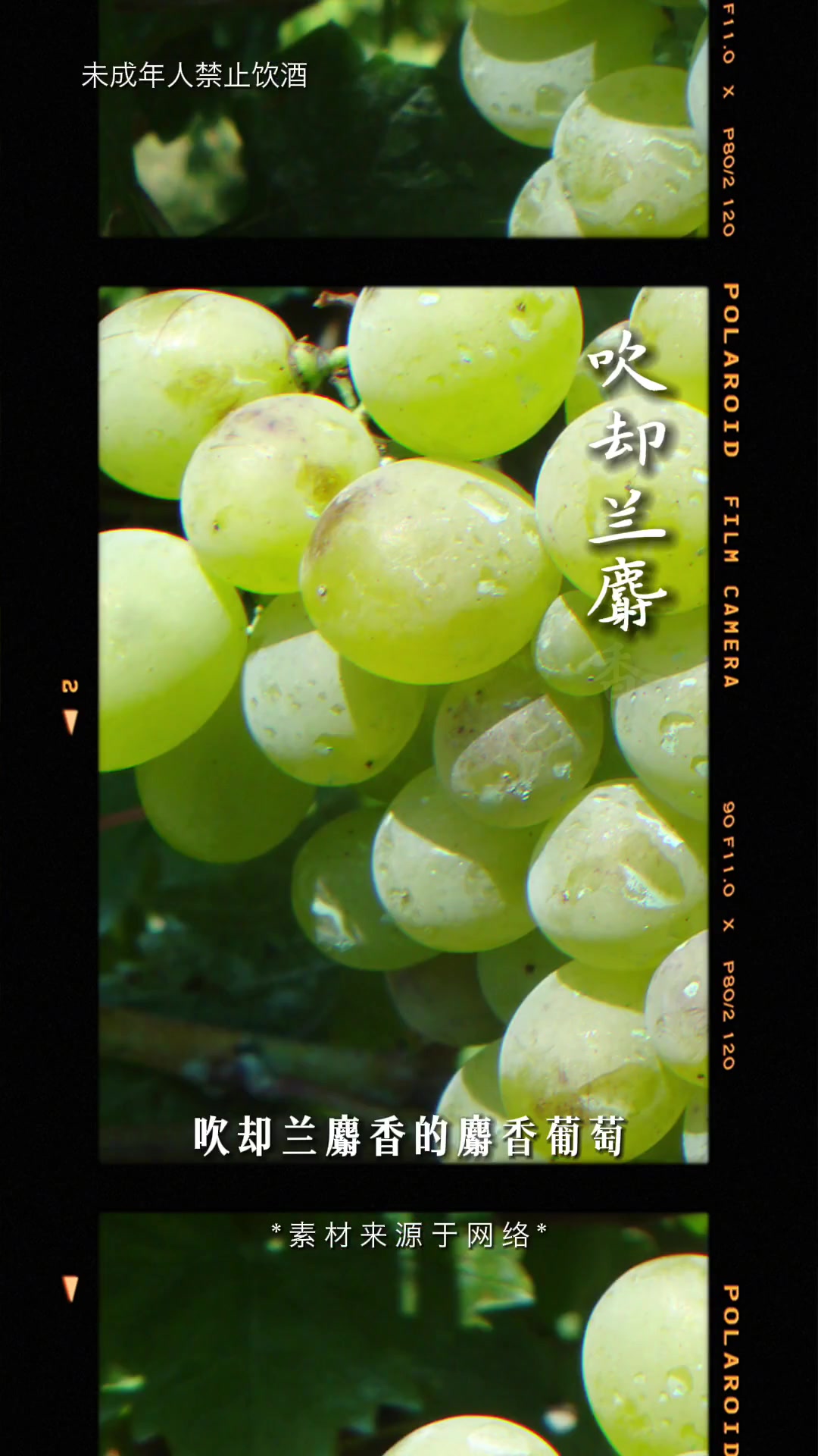 用一年让长相思诗跨界长相思葡萄酒，做了件特别的事