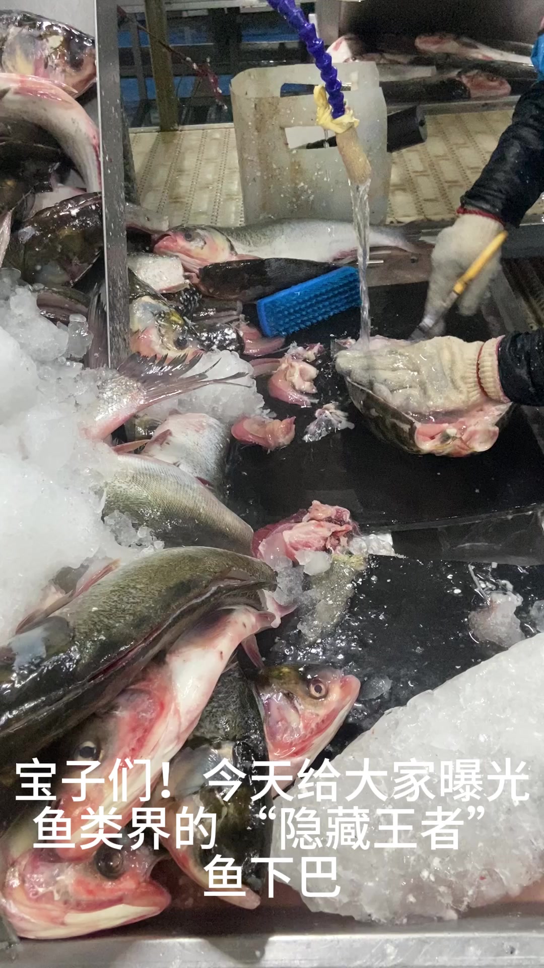 红烧鱼下巴教程宝子们来查收