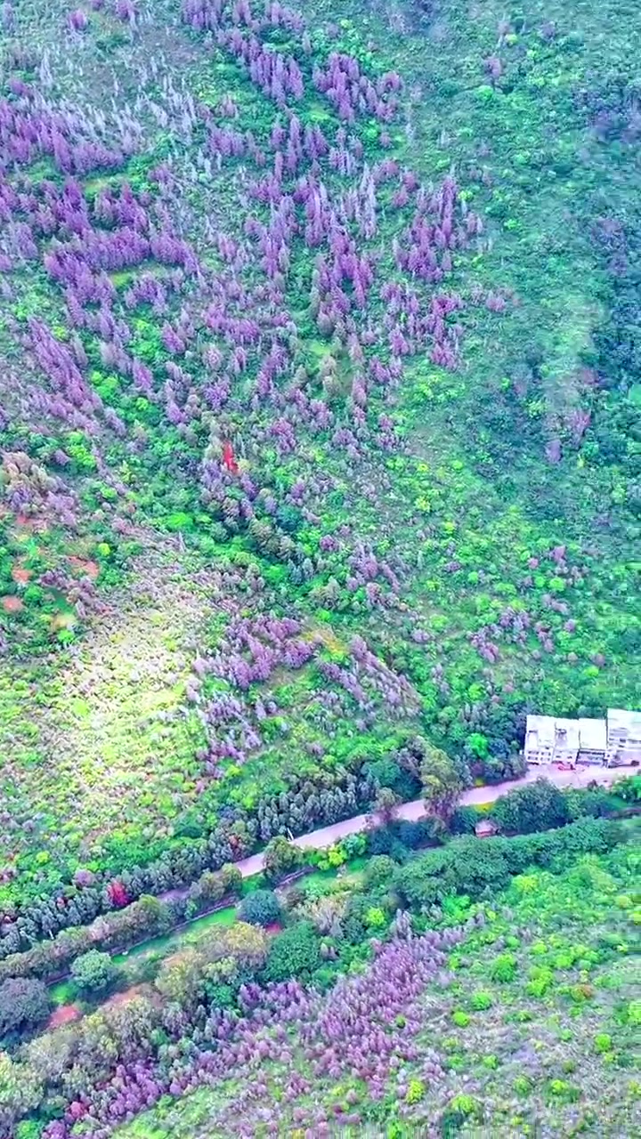 玉带河水干涸，抚仙湖与星云湖无交集，界鱼石美景不再