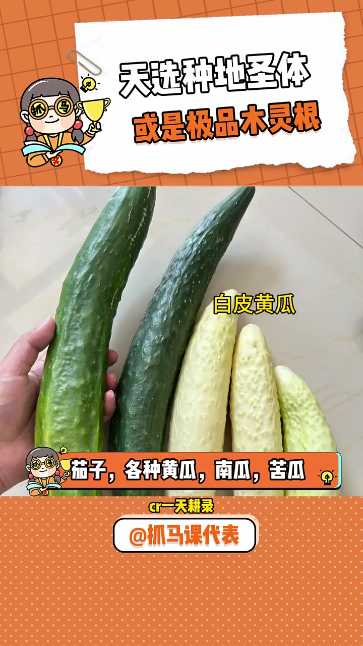 又找到一个大学生就业方向 种菜  大学生 美食
