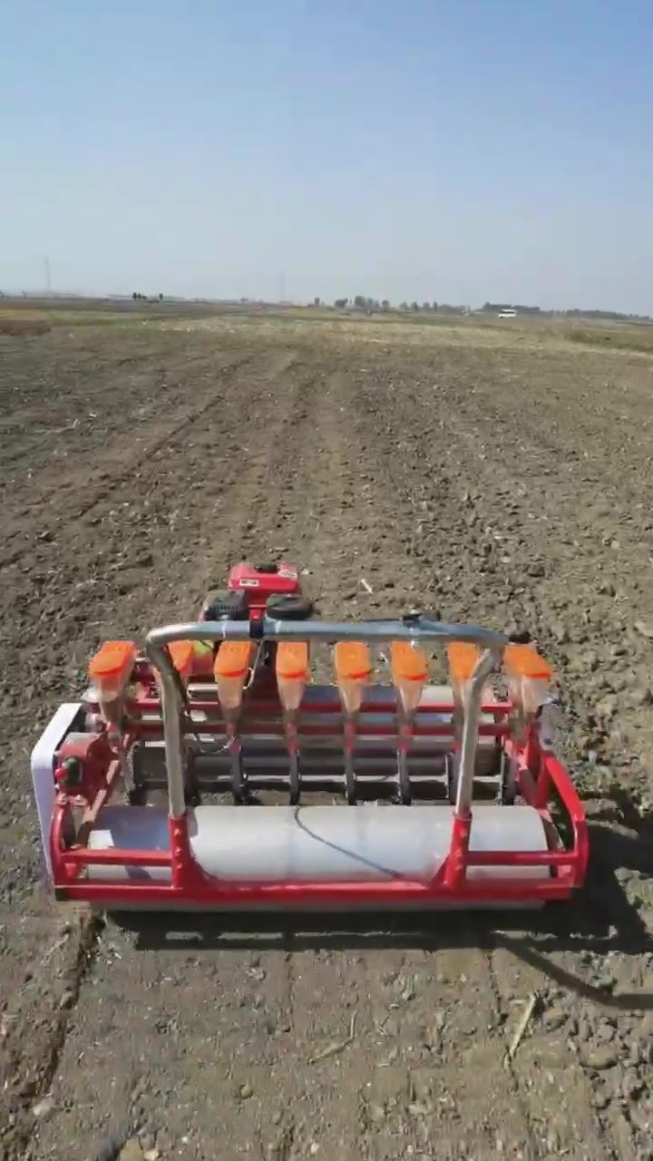 自走式蔬菜播种机 170汽油机播种机 洋葱胡萝卜8行精播机