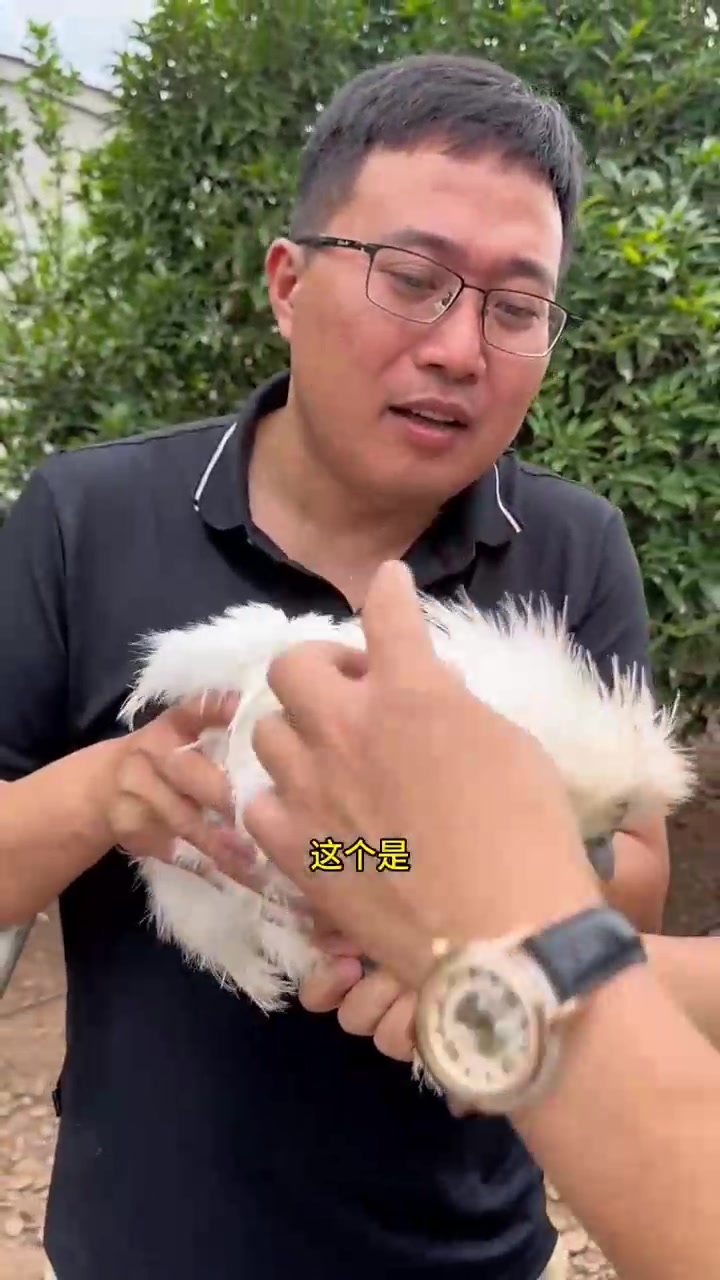 今天来到乌鸡之乡江西泰和，晚上刘哥安排乌鸡宴！这里的泰和乌鸡坐神舟三号上过太空哦～