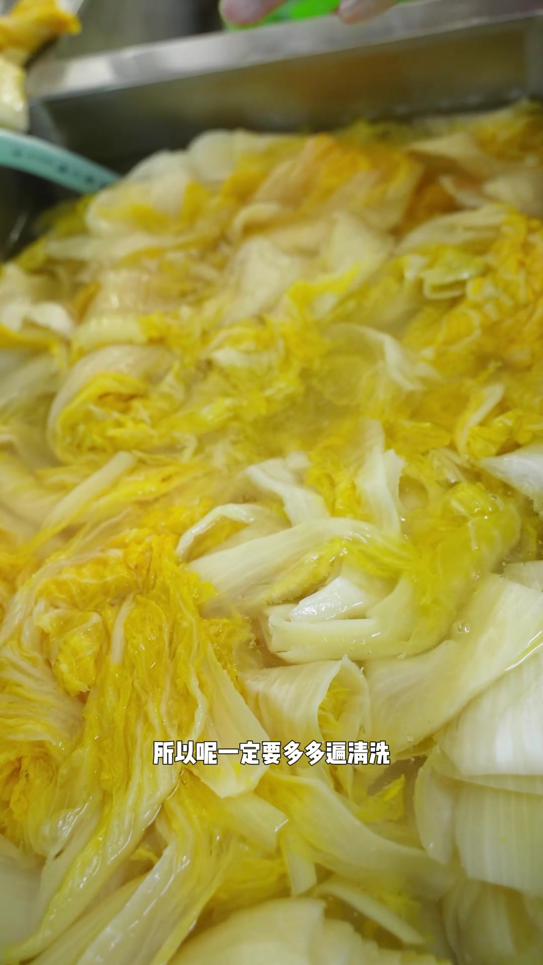 酸菜馅饺子的酸菜怎么选择和处理