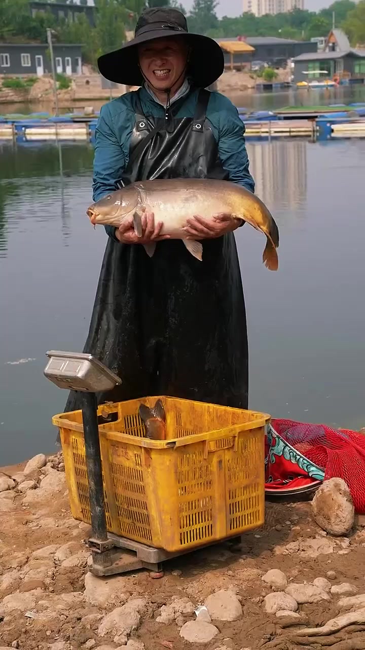 天下钓友是一家,框镜鲤原来钓鱼才是运动顶流
