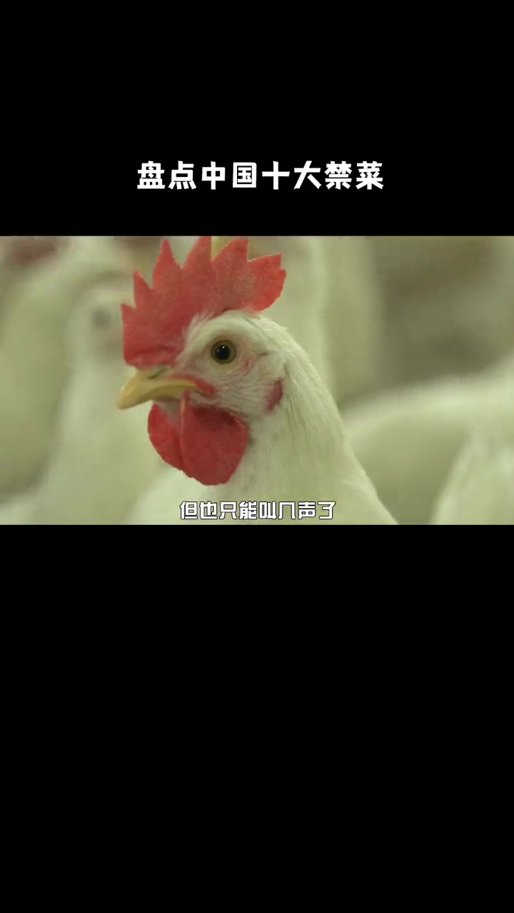 盘点我国10大禁菜。都是舌尖上的罪孽，给你100万你敢吃吗？（2/3）