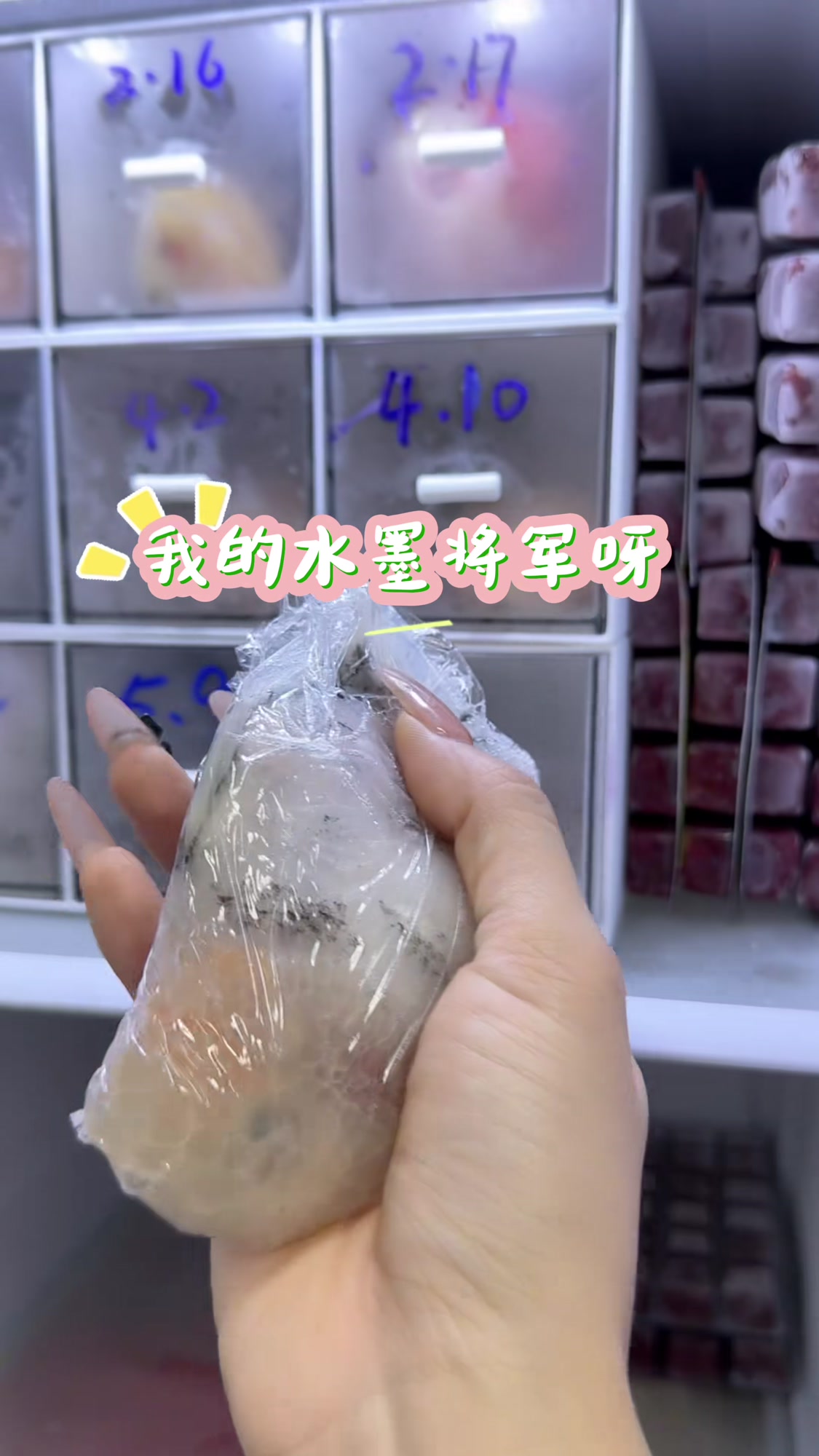 看起来是冰箱的小鱼停尸间,记录养鱼日常日记