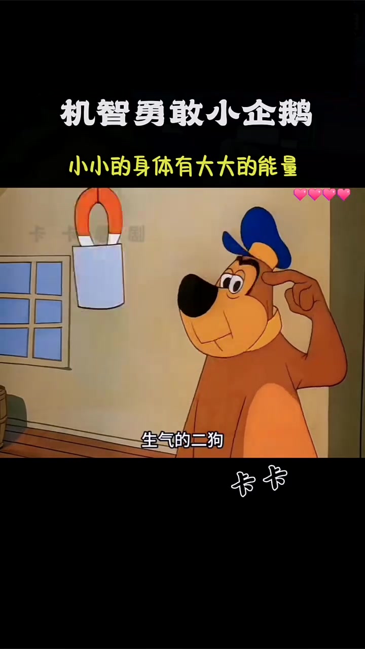 呆头呆脑小企鹅