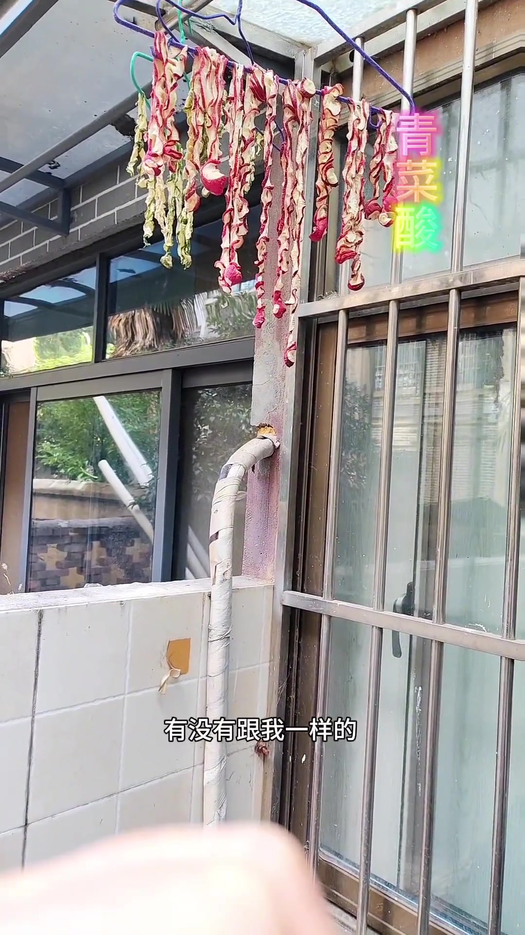 小青菜等可快速腌制,炒肉末超好吃