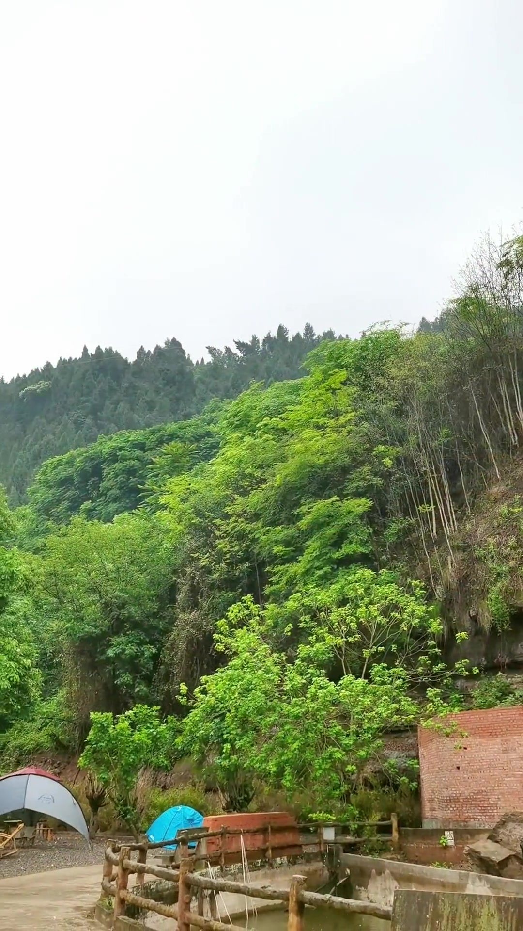 非遗美食盛山桂花鸡,山泉水煮,快来尝鲜!