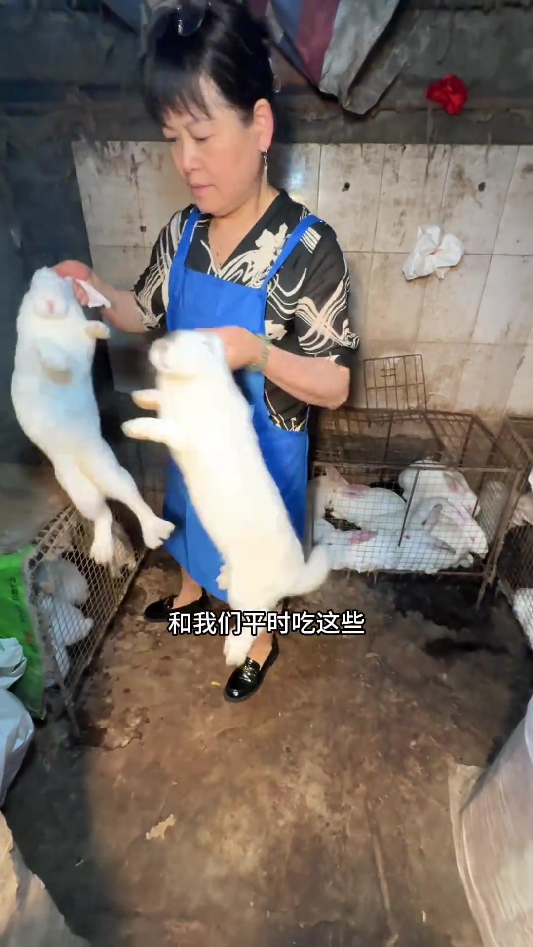 华阳开了20多年的老古董,高压锅弄的黄焖兔太原始了