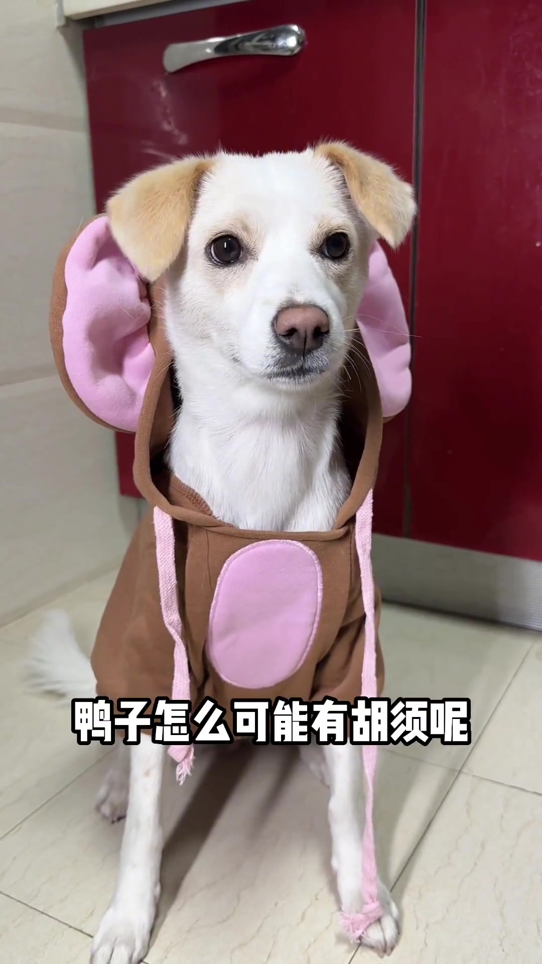 感受底特律深盘披萨极致的热量冲击吧!