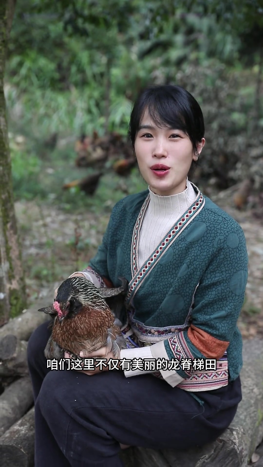 深山里你没见过的鸡它和你之前吃到的鸡是真的不一样!您放心大胆的去尝一尝~