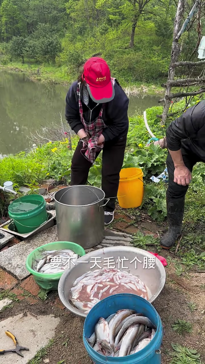 松花湖特产岛子鱼