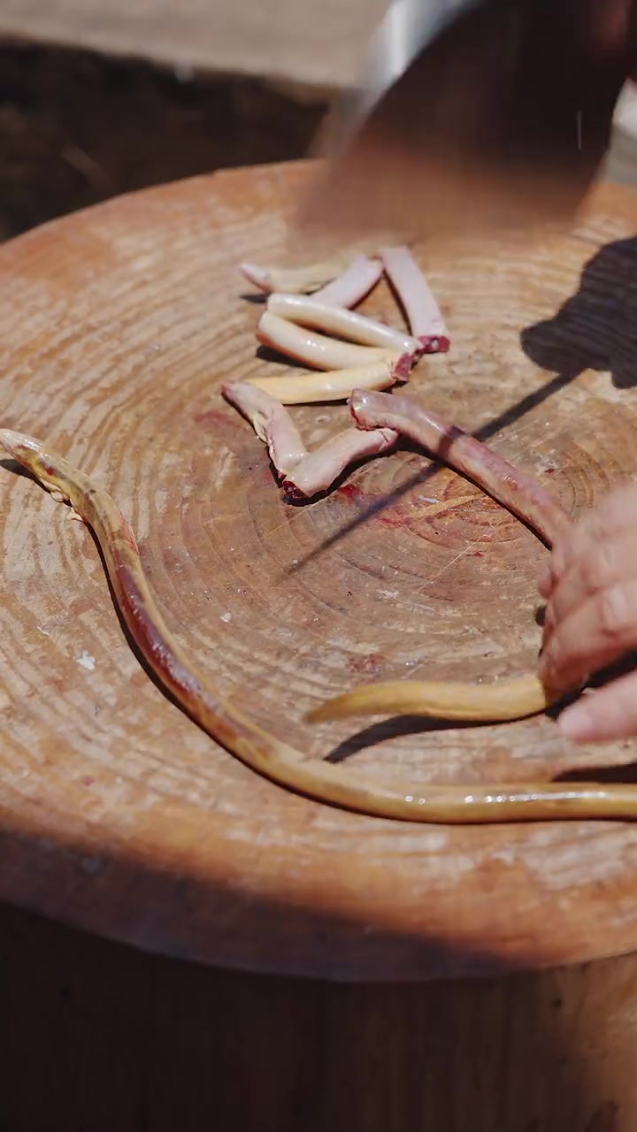 泥潭地赶海锄鳗鱼，两人挖一大片海滩，连抓几十条三百一斤的血鳗