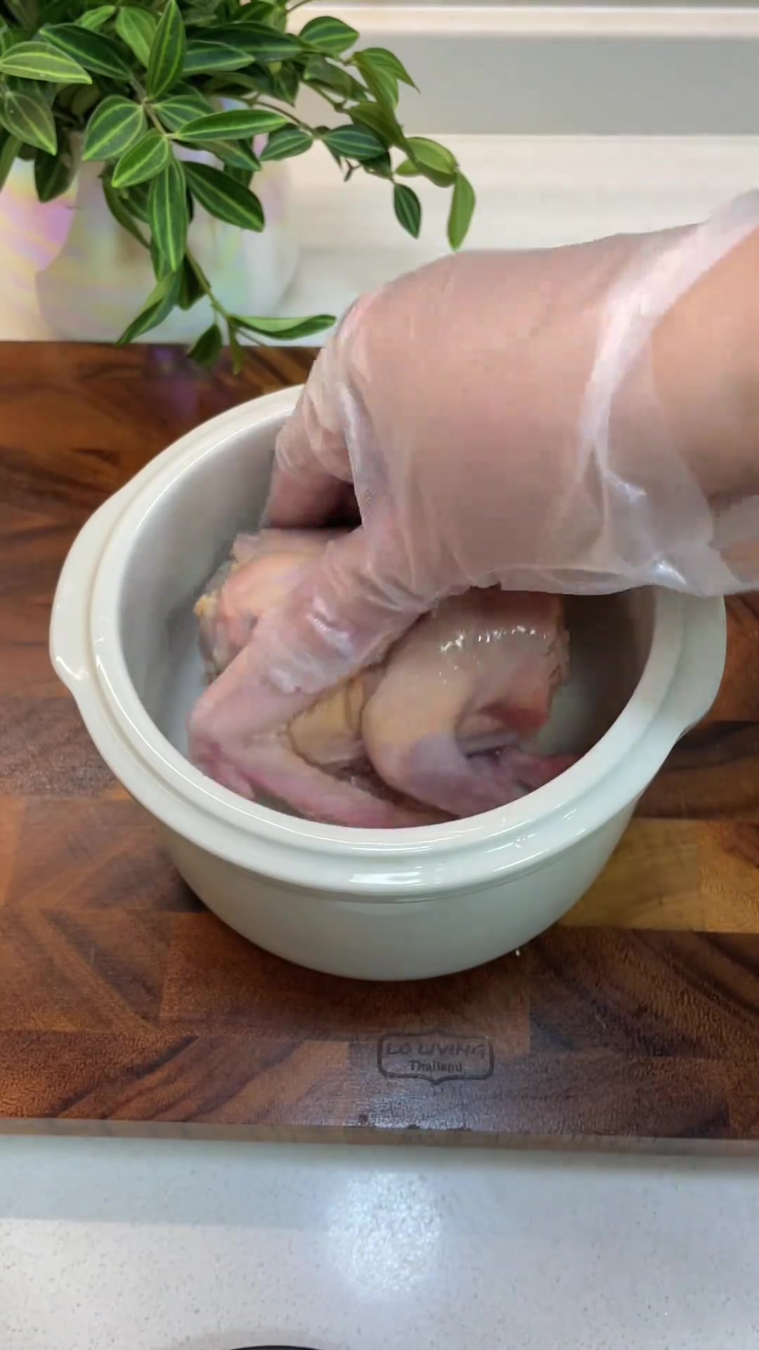 深圳降温了，得赶紧煮一碗田七海马汤补补，家有初中生的也可以喝