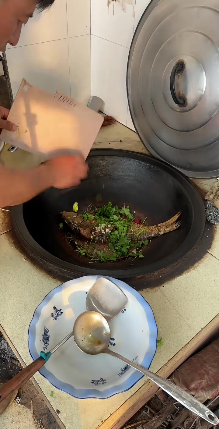 我家今天出小鸡仔了,老妈高兴了,老妈这几天上火,不让她做饭了,让她养养,只要老妈没病比啥都