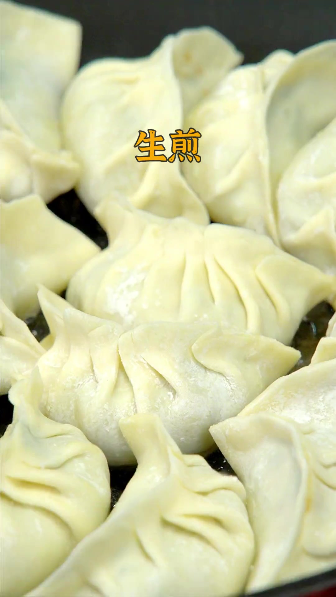 当季的韭菜拿来包饺子就是香!