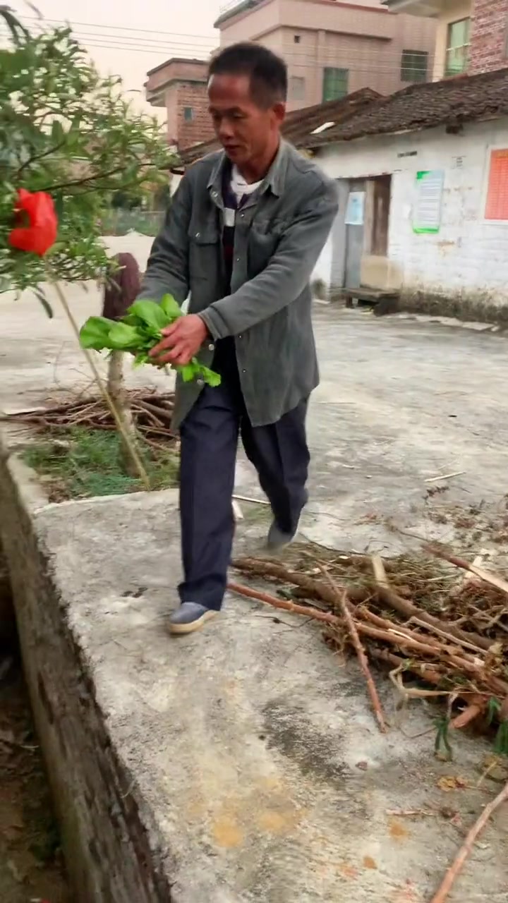 晚餐安排,广宁芥菜煮粥,蒸番薯