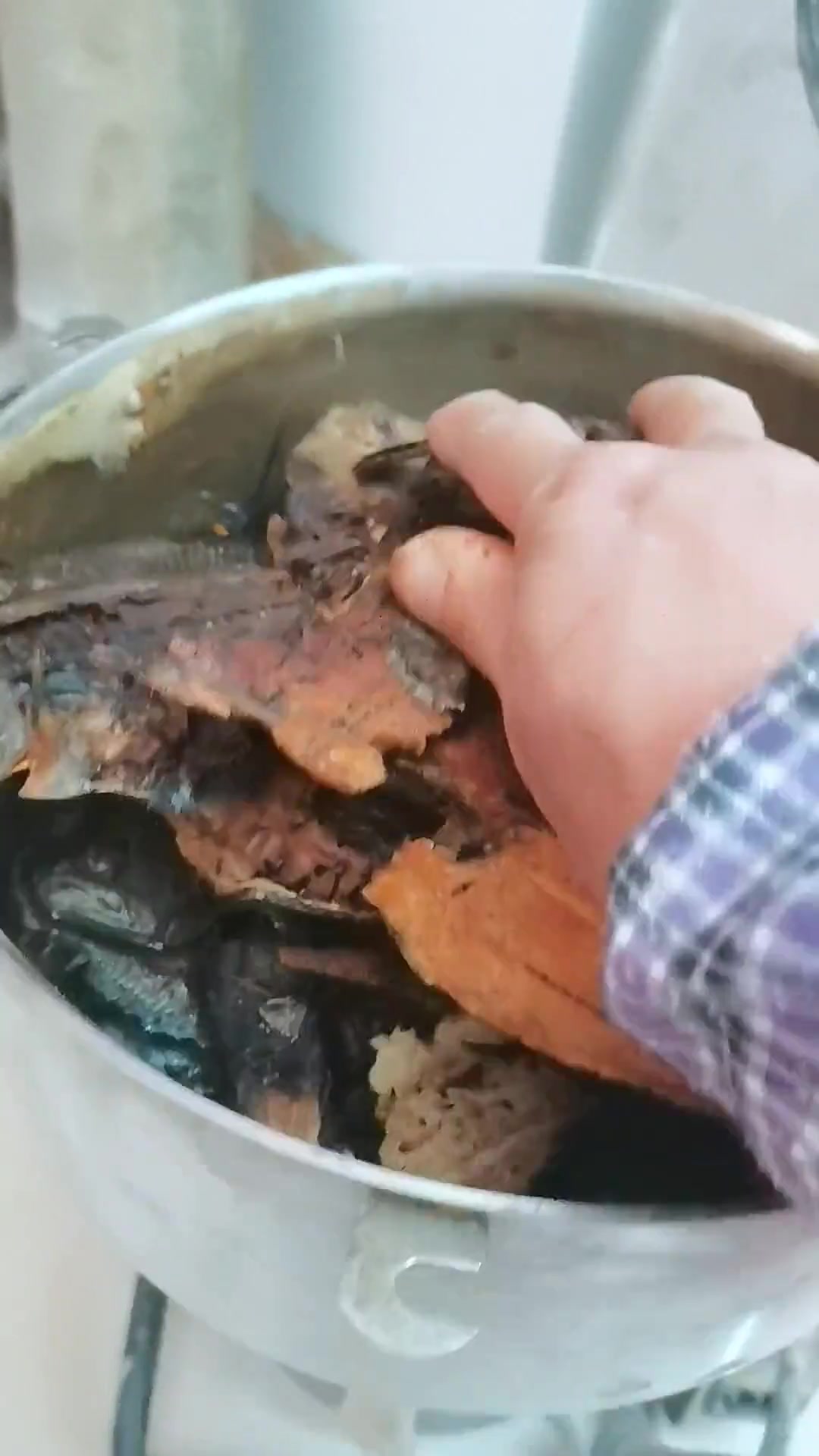 大地鱼是广式云吞面关键