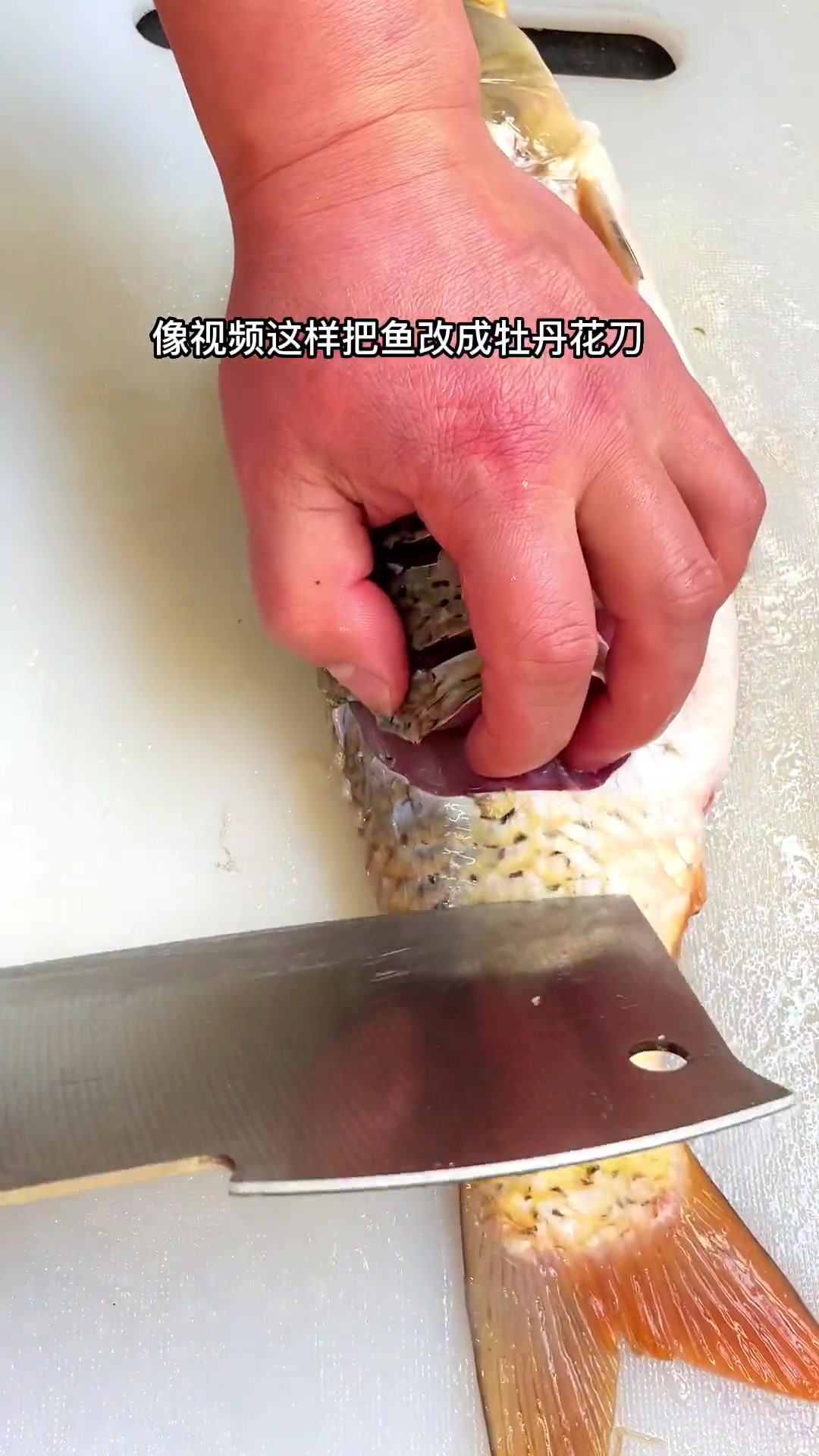 明天就是小年了，该备年货了，炸几条鲤鱼是少不了的